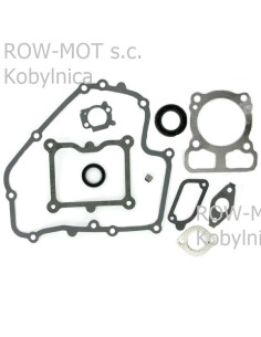 zestaw uszczelek B&S 152SV