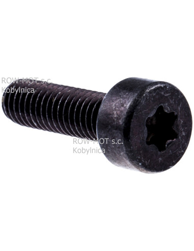 śruba łumika 560XP/562 karter NT