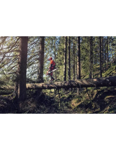 pilarka spalinowa Husqvarna 572XP 