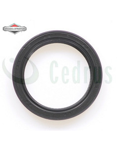 uszczelniacz B&S R13C 2