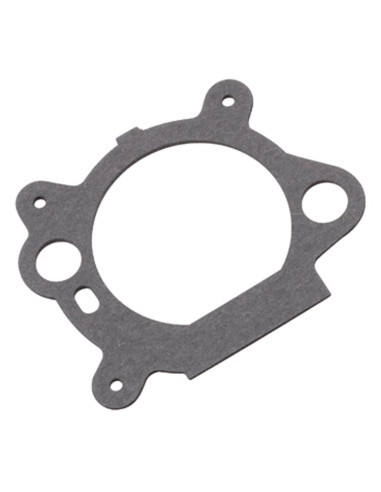 uszczelka gaźnika Briggs Quantum