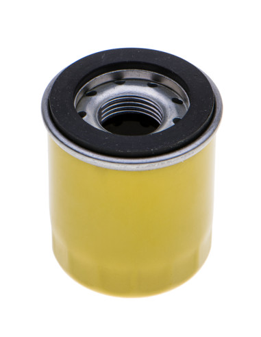 filtr oleju B&S 875 series