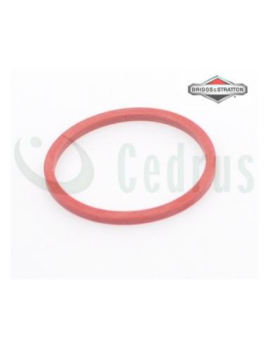 Uszczelka oring gaźnika B&S Intek