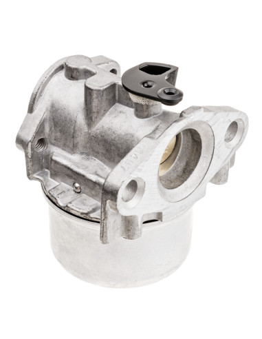 gaźnik B&S (498170,799872)