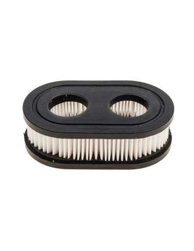 filtr pow.B&S 650 dwa otwory