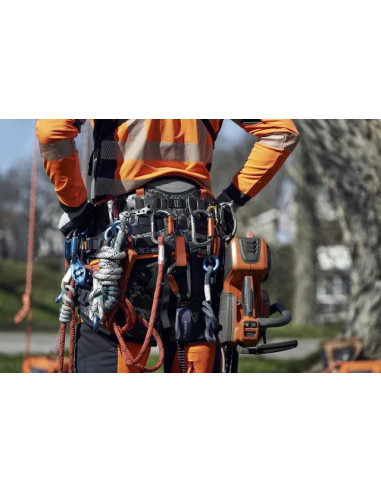 taśma pilarka arbor