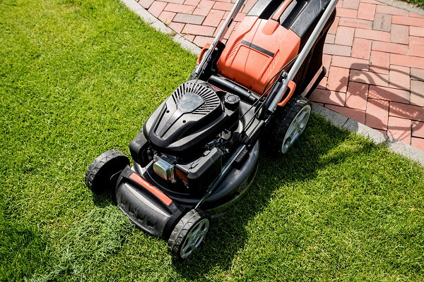 Wybór kosiarki do trawy. Czym się kierować przy zakupie?