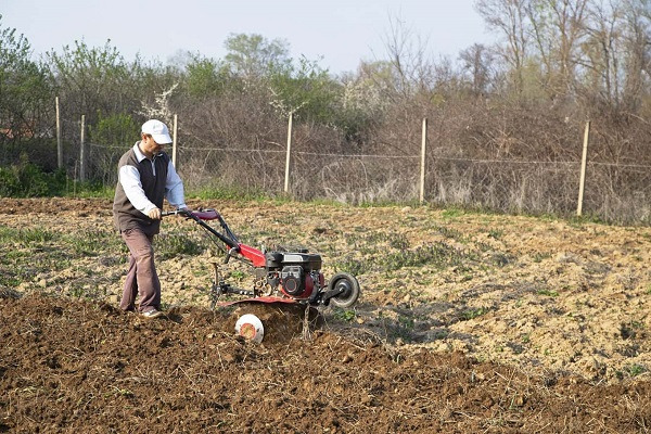 Jaki sprzęt jest niezbędny do prac w ogrodzie?